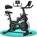 DMASUN Indoor Exercise Bike with LCD Display & Holder