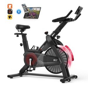 Decorcn Magnetic Resistance Exercise Bike with APP