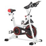 HOMCOM Indoor Exercise Bike with 8kg Flywheel