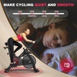 Decorcn Magnetic Resistance Exercise Bike with APP
