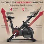 Decorcn Magnetic Resistance Exercise Bike with APP