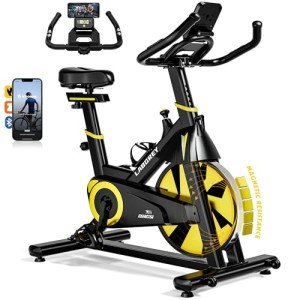 LABGREY Magnetic Resistance Indoor Exercise Bike