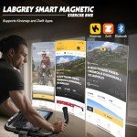 LABGREY Magnetic Resistance Indoor Exercise Bike