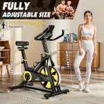 LABGREY Magnetic Resistance Indoor Exercise Bike