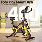 LABGREY Magnetic Resistance Indoor Exercise Bike