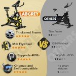 LABGREY Magnetic Resistance Indoor Exercise Bike