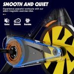 LABGREY Magnetic Resistance Indoor Exercise Bike