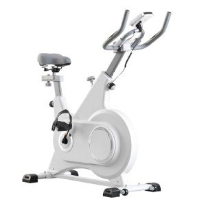 LSBIKE Professional Indoor Spin Bike for Home Gym