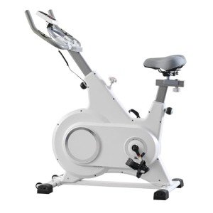 LSBIKE Professional Indoor Spin Bike for Home Gym