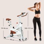 SPORTNOW Quiet Indoor Exercise Bike with LCD Monitor