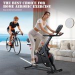 Devoko Quiet Indoor Exercise Bike with LCD Monitor