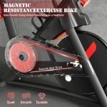 Devoko Quiet Indoor Exercise Bike with LCD Monitor