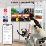 DeerRun Adjustable Magnetic Resistance Exercise Bike