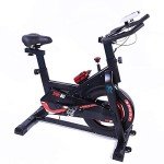 Whirlwind Fit SP100 Home Spin Bike