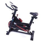 Whirlwind Fit SP100 Home Spin Bike