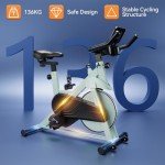 Lacuffy Magnetic Indoor Cycling Exercise Bike 136 kg