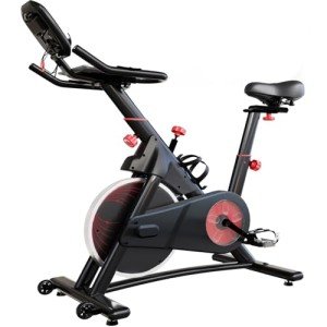 JUMMICO Indoor Exercise Bike with Magnetic Resistance