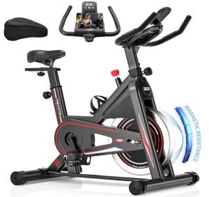 DMASUN Indoor Exercise Bike with LCD Display