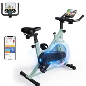 DeerRun Adjustable Magnetic Resistance Exercise Bike