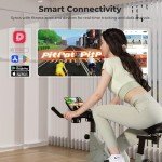 DeerRun Adjustable Magnetic Resistance Exercise Bike