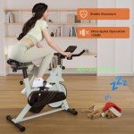 DeerRun Adjustable Magnetic Resistance Exercise Bike