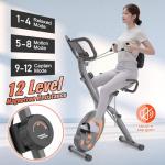 Leikefitness Folding Recumbent Exercise Bike with Arm Resistance