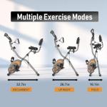 Leikefitness Folding Recumbent Exercise Bike with Arm Resistance