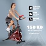 Jupgod Indoor Cycling Bike with Silent Flywheel