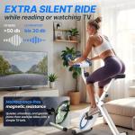 Ultrasport F-Bike Folding Indoor Exercise Bike