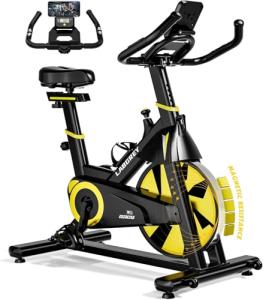 LABGREY Magnetic Resistance Indoor Exercise Bike