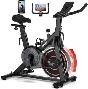 CHAOKE Indoor Exercise Bike with Magnetic Resistance