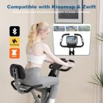Upright/Recumbent Foldable Exercise Bike with Adjustable Resistance Levels