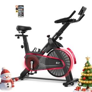 Decorcn Magnetic Resistance Exercise Bike with APP