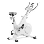LSBIKE Professional Indoor Spin Bike for Home Gym