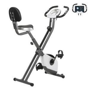 Panana Foldable Exercise Bike with Magnetic Resistance
