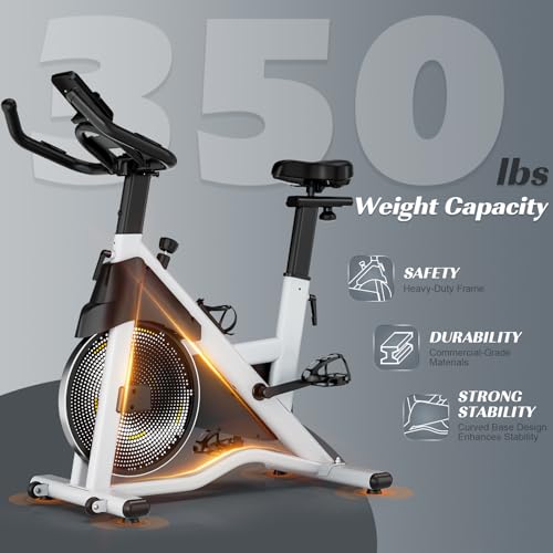 Labgrey Magnetic Exercise Bike with Smart Apps & Heart Rate Sensor