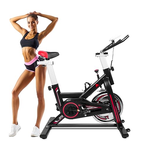 EVOLAND Indoor Cycling Exercise Bike with LCD Monitor