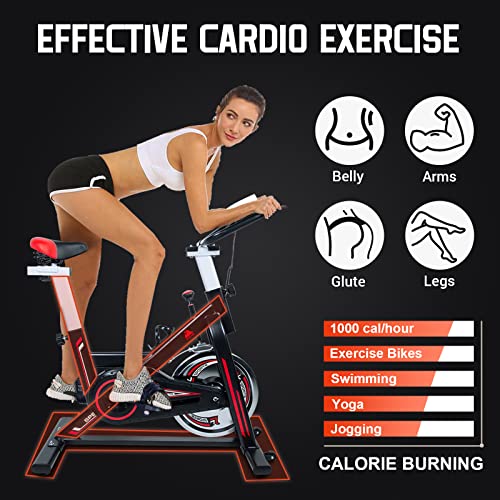 EVOLAND Indoor Cycling Exercise Bike with LCD Monitor
