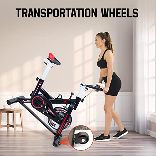 EVOLAND Indoor Cycling Exercise Bike with LCD Monitor
