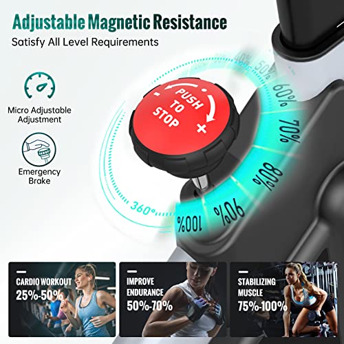 PASYOU S30: Magnetic Resistance Stationary Bike for Home