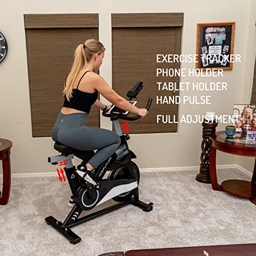 Acefuture Magnetic Resistance Exercise Bike with 13.6kg Flywheel