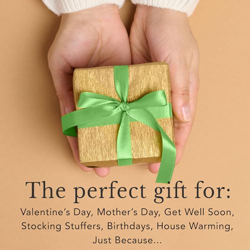 Organic Beeswax Lip Balm Pack