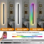 RGB Dimmable Outdoor Wall Lights, 2-Pack