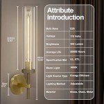 Brass Wall Sconces Set of Two - 19" Gold
