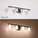 4-Light Farmhouse Bathroom Vanity Light Fixture