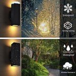 RGB LED Up and Down Outdoor Wall Lights