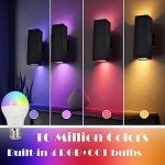 RGB LED Up and Down Outdoor Wall Lights