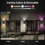 KIZON Smart RGB Outdoor Sconce Lights (2 Pack)