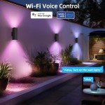 KIZON Smart RGB Outdoor Sconce Lights (2 Pack)
