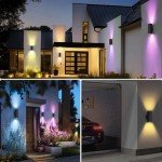 KIZON Smart RGB Outdoor Sconce Lights (2 Pack)